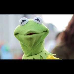 Meet your Posher, Cat