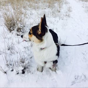 Meet your Posher, Rudee