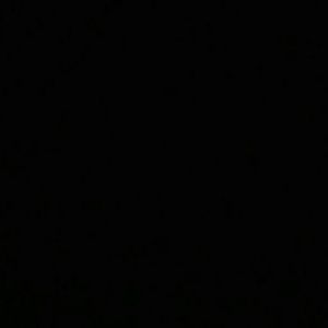 Meet your Posher, Allen