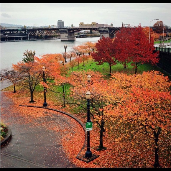 Meet your Posher, Stacie