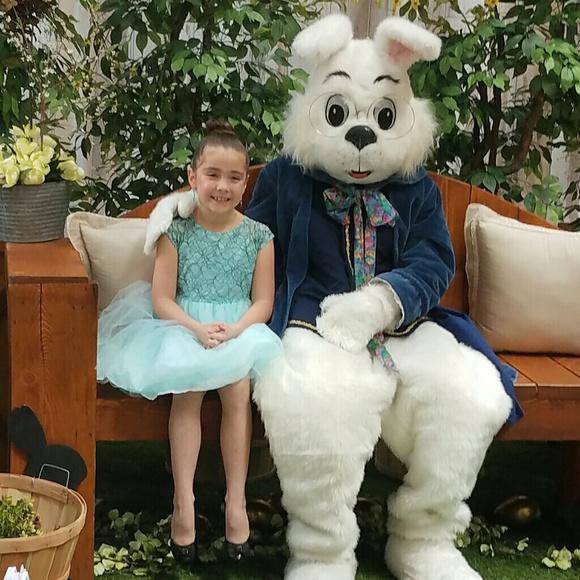 Meet your Posher, Bernadette - Picture 6 of 7