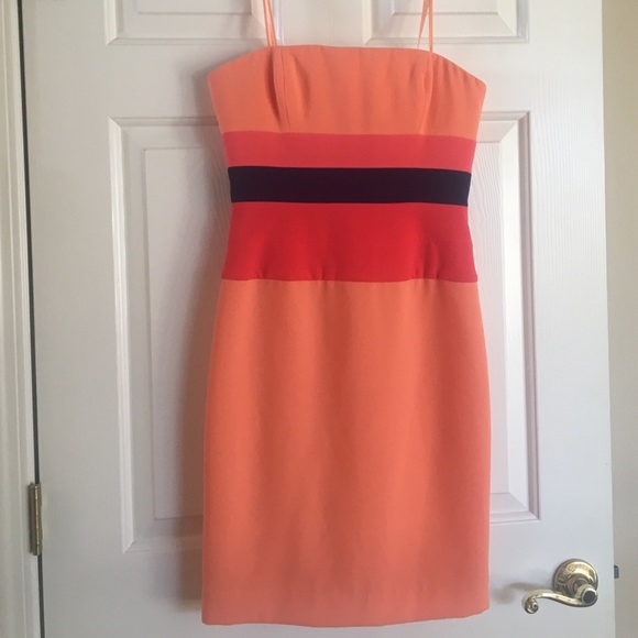 BCBG Colorblock Dress