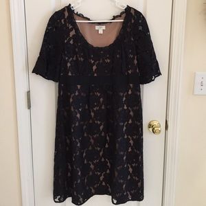 LOFT lace dress
