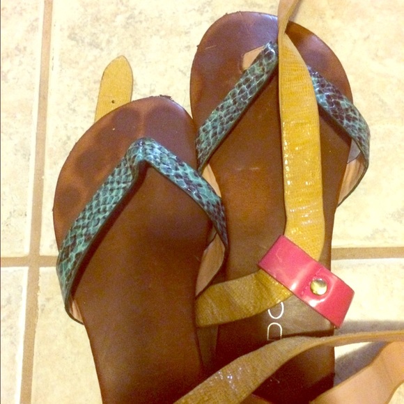 Aldo 7