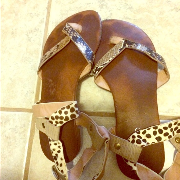 Aldo 7