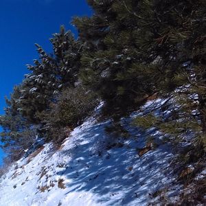 Meet your Posher, Raul