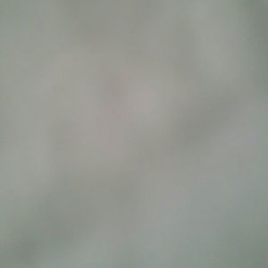 Meet your Posher, Max