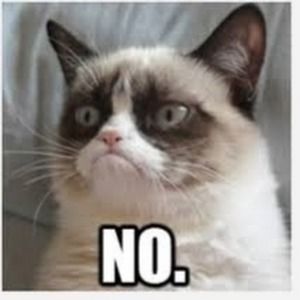 Meet your Posher, Katherine