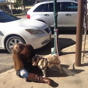 Meet your Posher, Casey