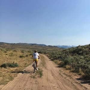 Meet your Posher, Mattie