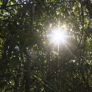 Meet your Posher, Trushna