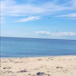 Meet your Posher, Sam