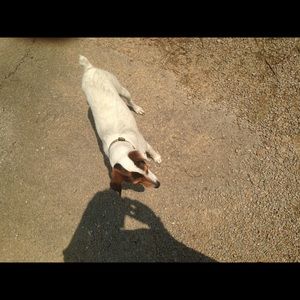 Meet your Posher, Adrian