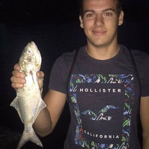 Meet your Posher, Cody