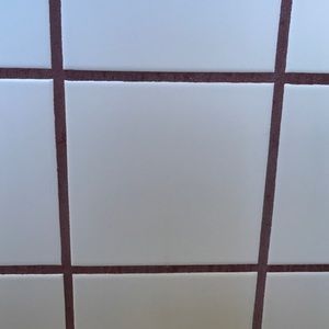 Meet your Posher, Maxine