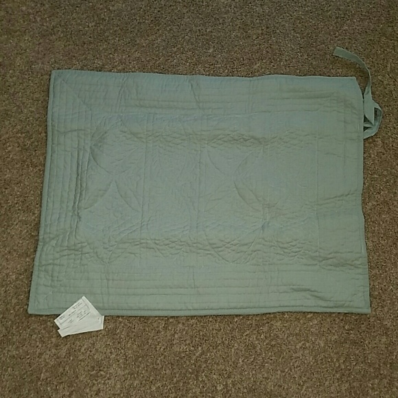 Pottery barn standard Hanna Sham. Never been used