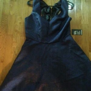 Express cocktail dress