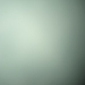 Meet your Posher, Aaliyah