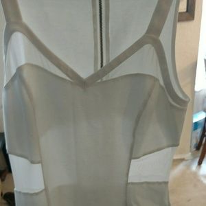 Express Mesh Dress White 10