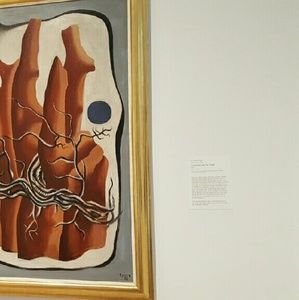 Meet your Posher, Selina