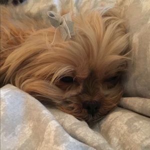 Meet your Posher, Briana