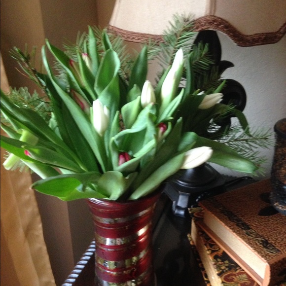 Meet your Posher, Sylvia - Picture 1 of 1