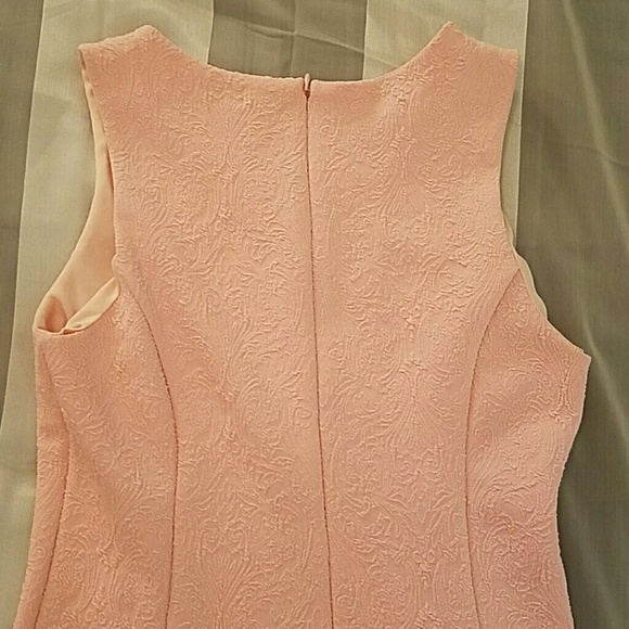 YA Los Angeles Blush Textured Fit & Flare Dress - Picture 7 of 9