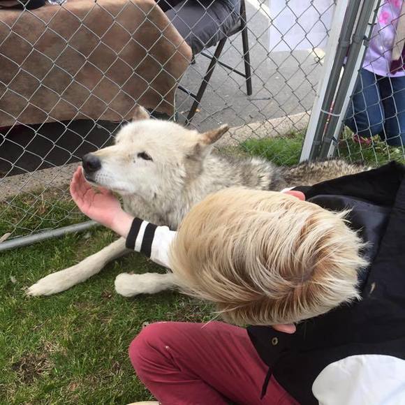 Meet your Posher, Dan - Picture 1 of 1