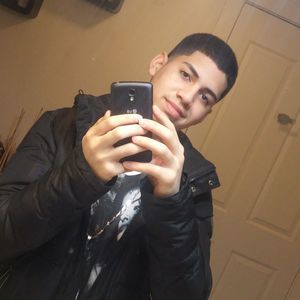 Meet your Posher, Albert