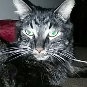 Meet your Posher, Alysse