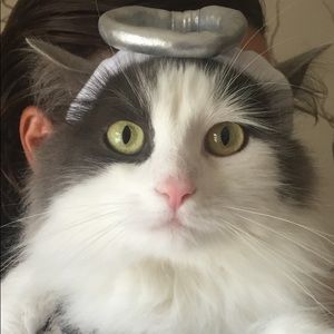 Meet your Posher, Kyra