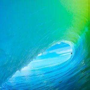 Meet your Posher, Matt