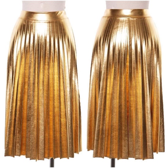 Silver & Gold Pleated Skirt - Picture 4 of 5