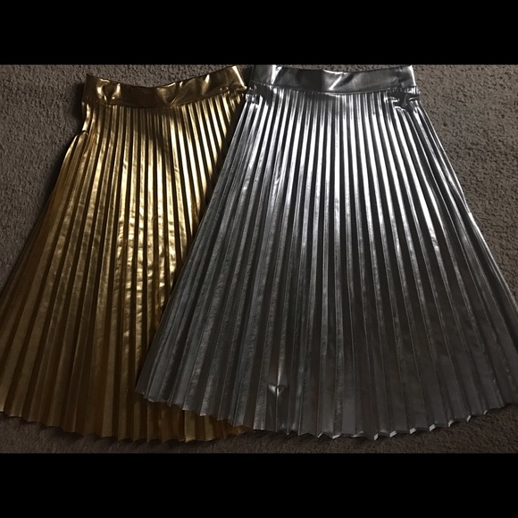 Silver & Gold Pleated Skirt - Picture 5 of 5