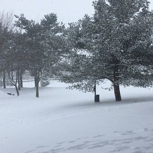 Meet your Posher, Arnab