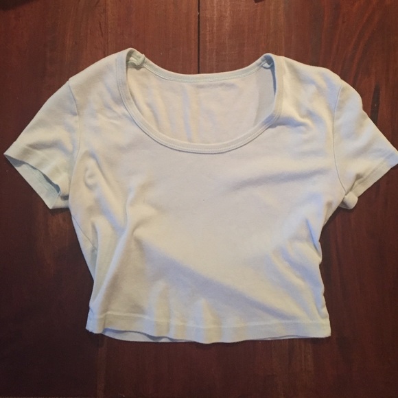 Mint American Apparel Crop Top