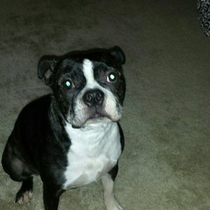 Meet your Posher, Daniel