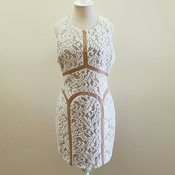 NWT Ark & Co Bodycon Dress