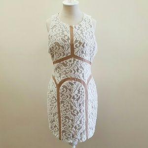 NWT Ark & Co Bodycon Dress