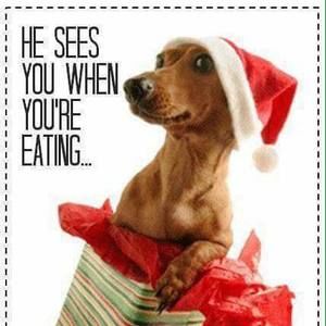 Meet your Posher, Jeanne