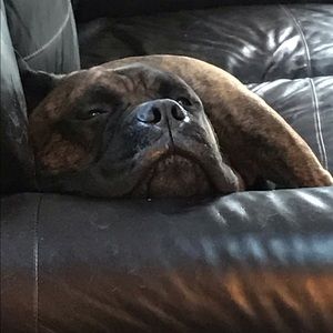 Meet your Posher, Erica