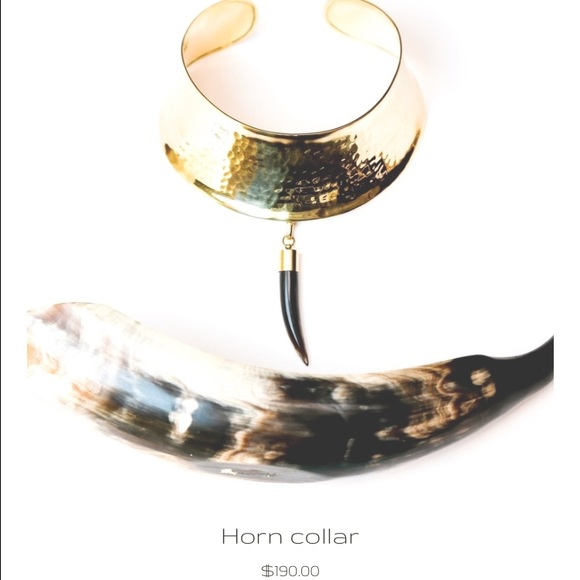 Bisjoux Clearance NWT MSRP $190 Horn Bone collar