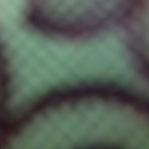 Meet your Posher, Nina