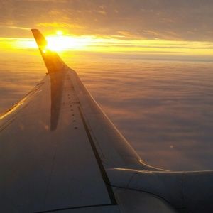 Meet your Posher, Robin