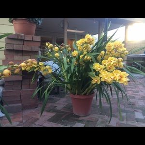 Meet your Posher, Loan