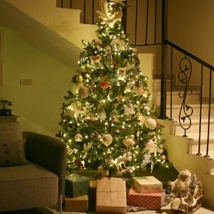 Meet your Posher, Ali