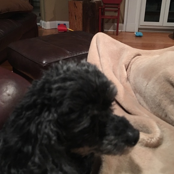 Meet your Posher, Kim - Picture 1 of 1