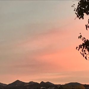 Meet your Posher, Rosie