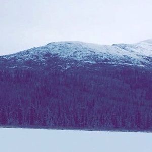 Meet your Posher, Ronnie