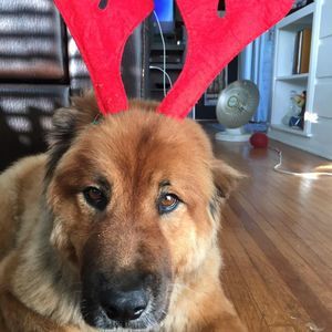 Meet your Posher, Jaime